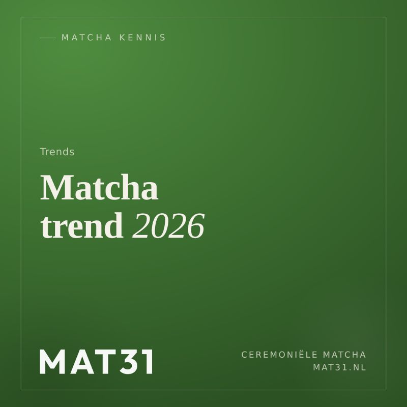 Matcha trend 2026: waarom de groene golf niet stopt - Ceremoniele matcha van MAT31