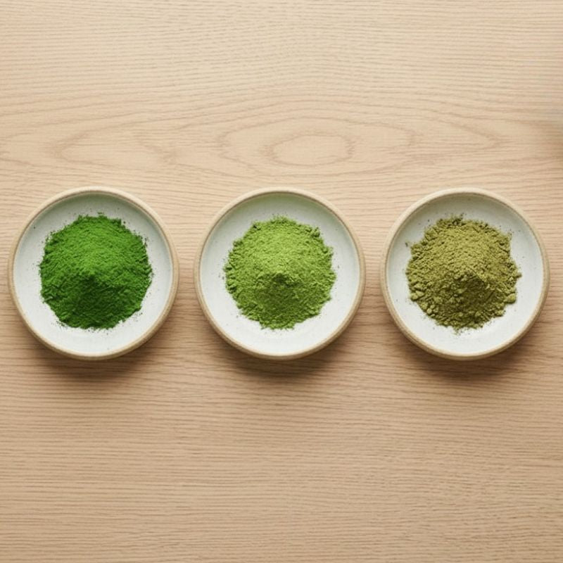 Usucha en koicha: de twee klassieke bereidingswijzen van matcha - Ceremoniele matcha van MAT31